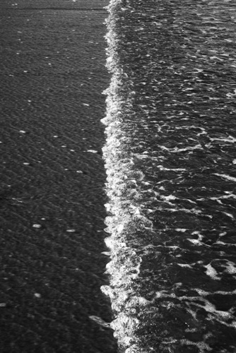 Sand and Surf Island Beach New Jersey (9017SA).jpg